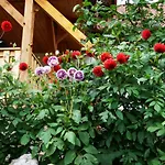 Farm stay Warminskie Uroczysko Raszag