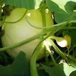 Farm stay Warminskie Uroczysko Raszag