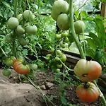 Warminskie Uroczysko Farm stay
