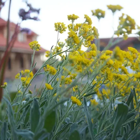 Κατάλυμα σε φάρμα Warminskie Uroczysko