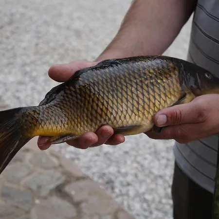 Warminskie Uroczysko