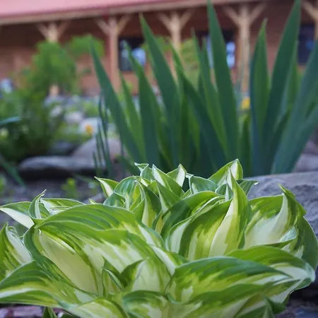 Bauernhof Warminskie Uroczysko *