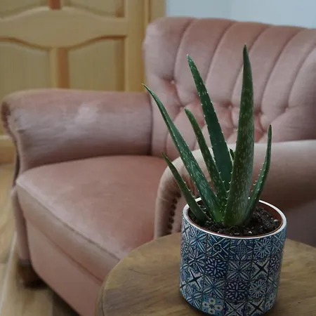 Warminskie Uroczysko * Rasząg