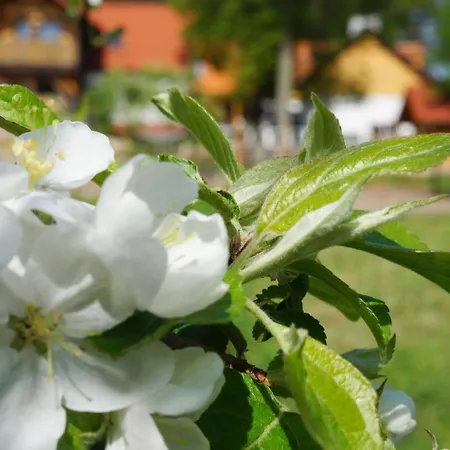 Warminskie Uroczysko Rasząg