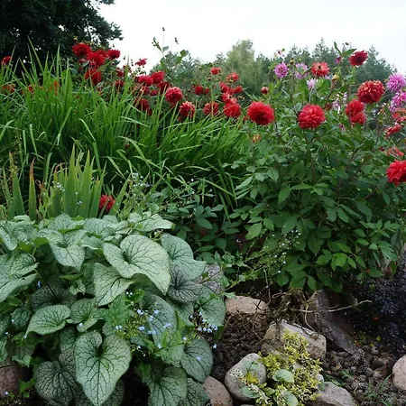 Warminskie Uroczysko Bauernhof