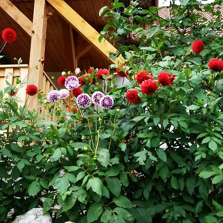 Bauernhof Warminskie Uroczysko Rasząg