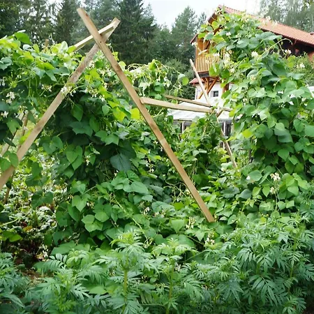 Warminskie Uroczysko *