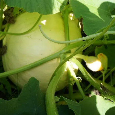 Bauernhof Warminskie Uroczysko Rasząg