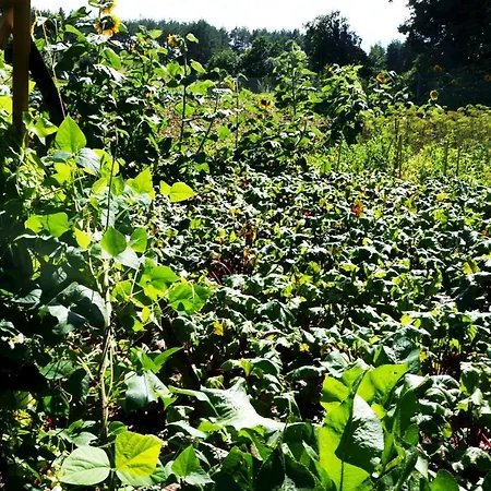 Warminskie Uroczysko *