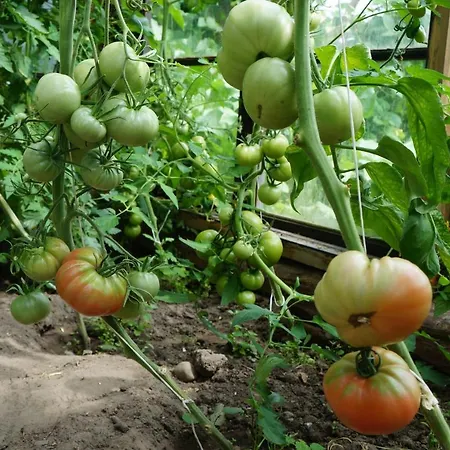 Warminskie Uroczysko Bauernhof