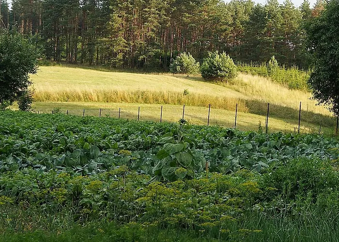 Warminskie Uroczysko