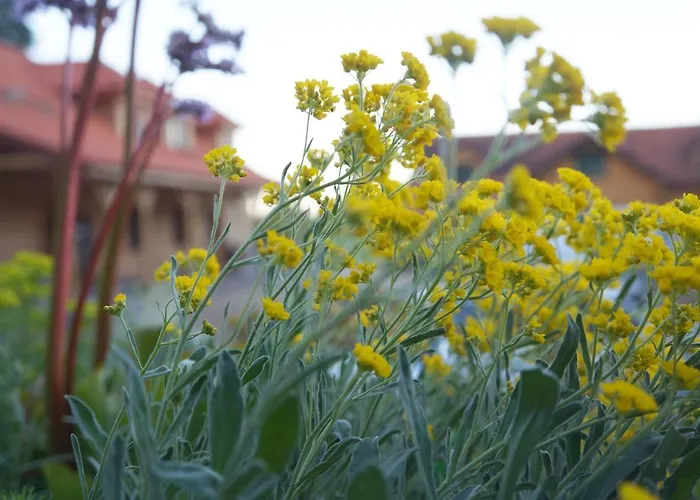 Farm stay Warminskie Uroczysko