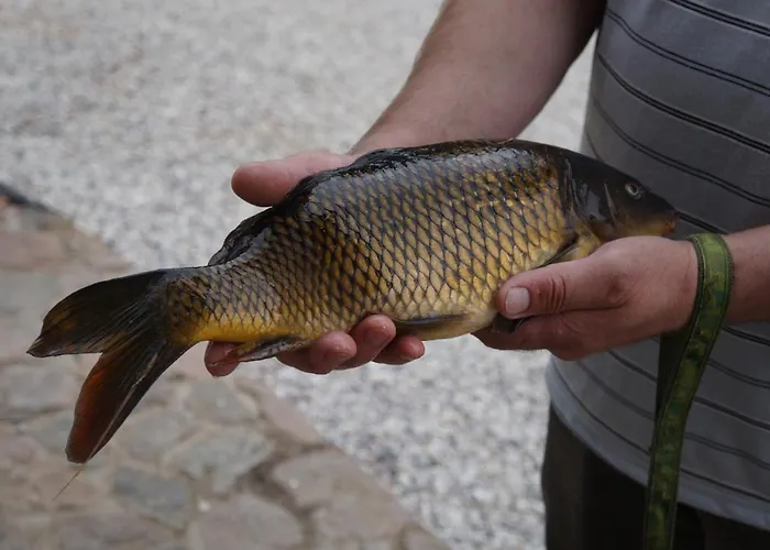 Warminskie Uroczysko