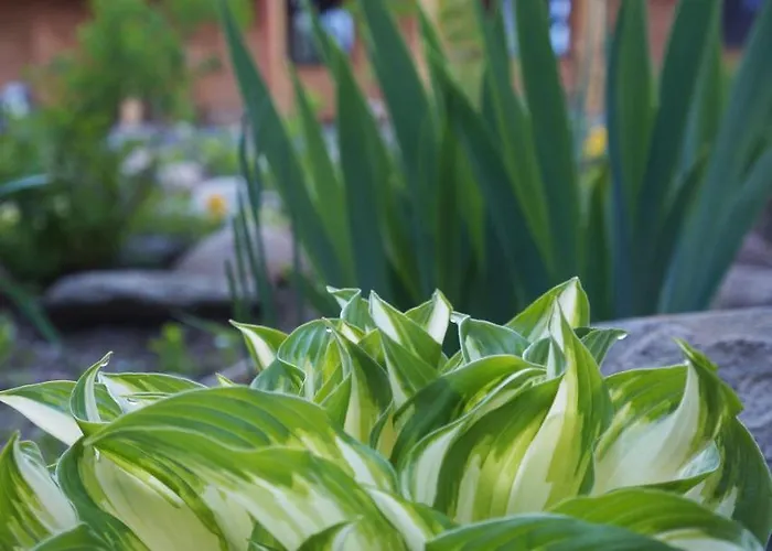 Farm stay Warminskie Uroczysko *