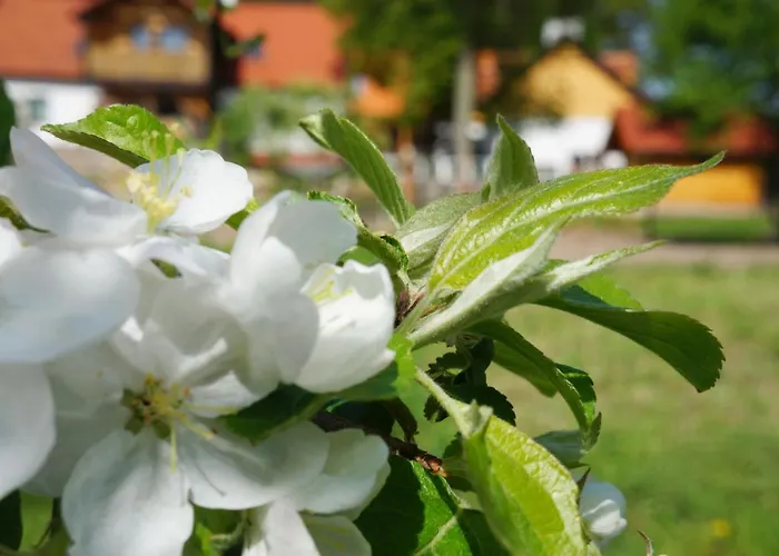 Warminskie Uroczysko Raszag