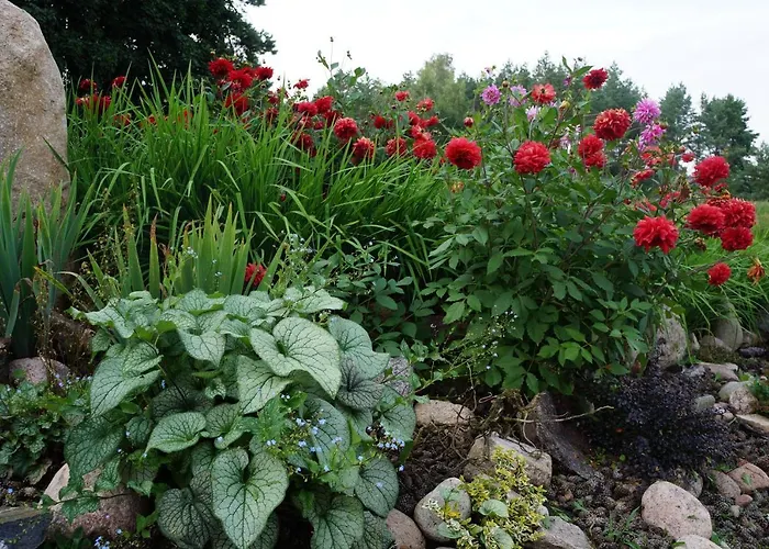 Warminskie Uroczysko Farm stay