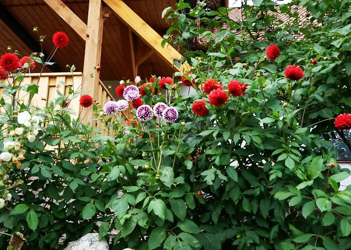 Farm stay Warminskie Uroczysko Raszag