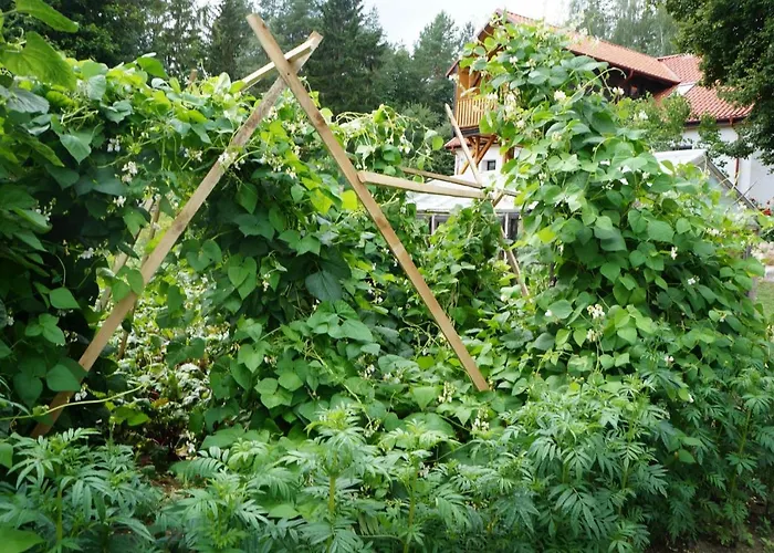 Warminskie Uroczysko *