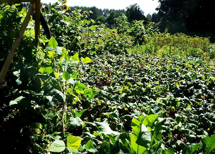 Warminskie Uroczysko *